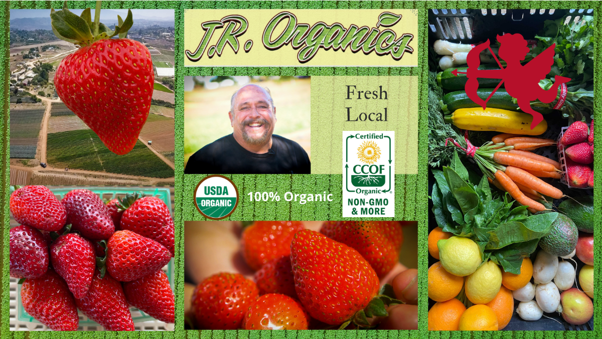 BEST FOODS TO GROW IN SAN DIEGO visual data 3